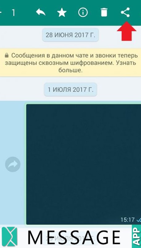 Как отправить большой файл по ватсапу с компьютера