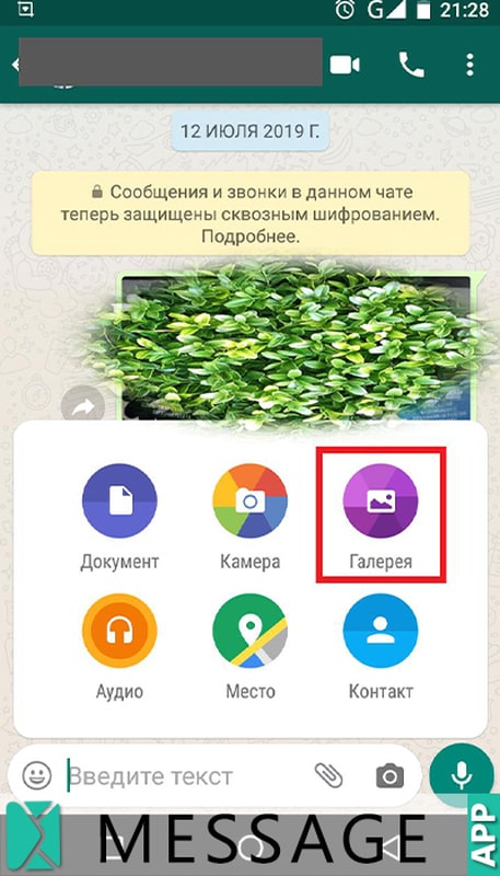 Как отправить фотографию по whatsapp